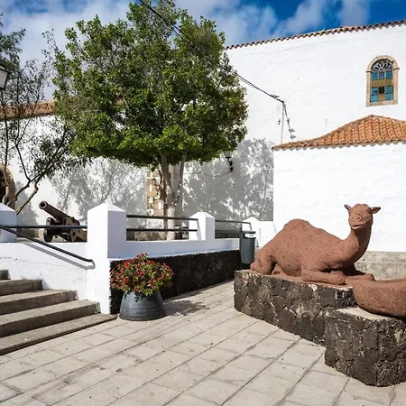 Studio In With Wonderful Mountain View Enclosed Garden And Wifi 12 Km From The Beach Apartament *